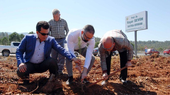 Yaşar Sevim’in İsminin Silinmesine Tepki