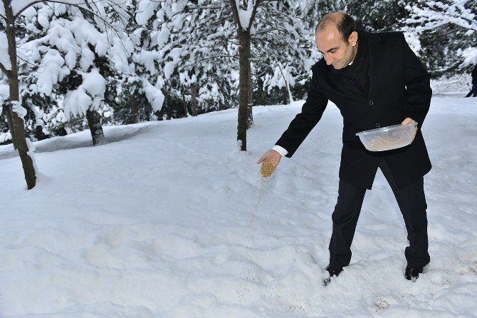 Yıldırım’da Sokak Hayvanları Sahipsiz Değil