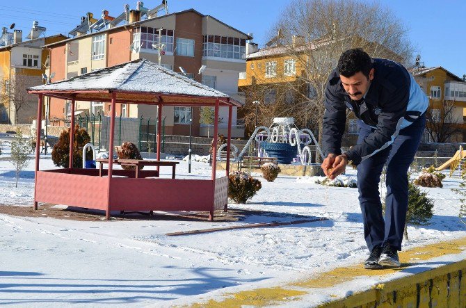 Bünyan Belediyesi Sokak Ve Yaban Hayvanlarını Unutmuyor