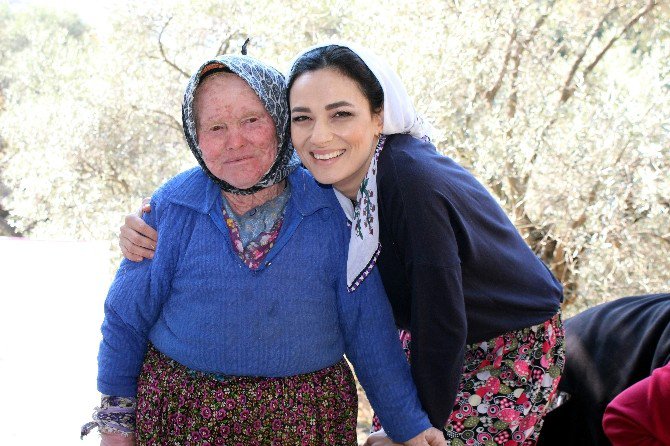 Ak Kadınlar Şalvar Giyip Zeytin Topladı