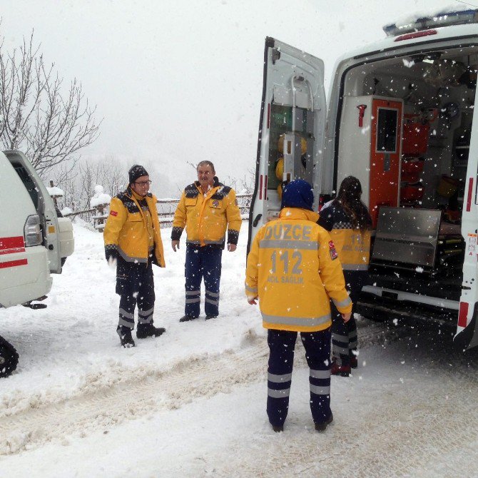 Hamile Kadın Paletli Ambulansla Hastaneye Ulaştırıldı