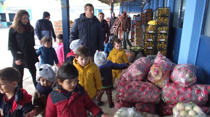 Anaokulu Öğrencileri Meyveleri Tanıdı, Alışveriş Yaptı