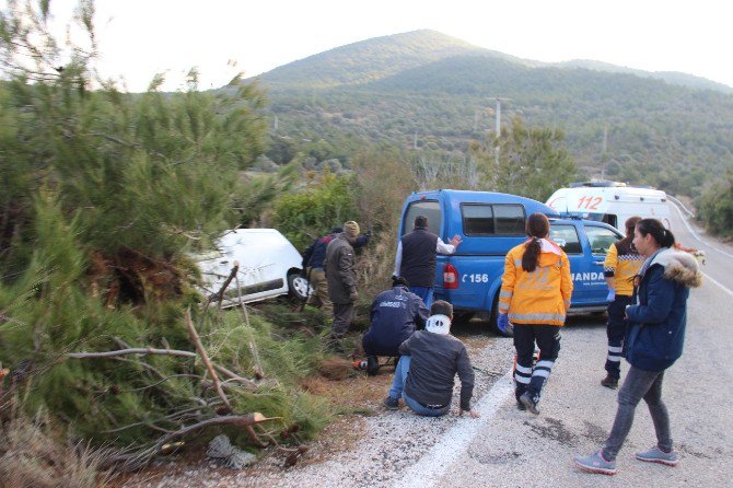 Aracı Ağaçların Arasına Saplandı, 2 Saat Kurtarılmayı Bekledi