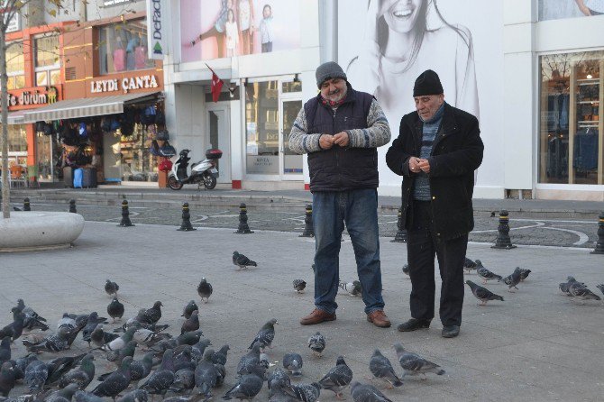 Duyarlı Taksiciler 2 Yıldır Güvercin Besliyor