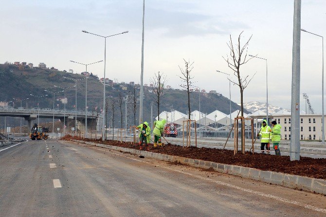 Trabzon Büyükşehir Belediyesi’nden Akyazı Seferberliği