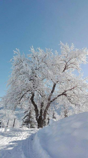 Karadeniz’de Dereler Dondu