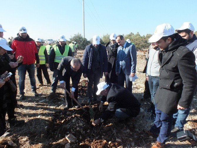 Yeşil Bir Didim İçin İlk Adımlar Atıldı