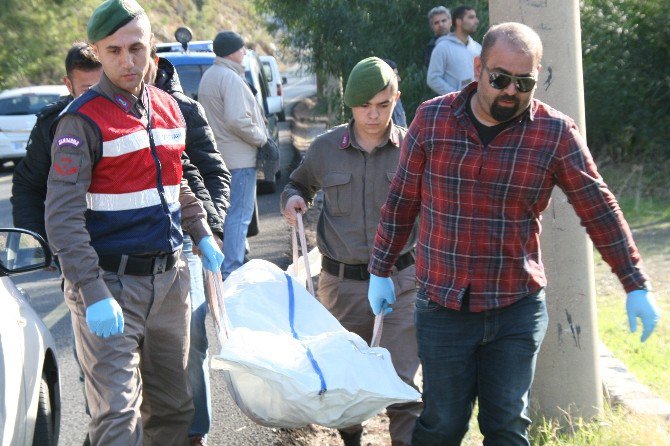 "Dedemden Kalan Tarlayı Satın Borçlarımı Kapatın" Notunu Bırakıp İntihar Etti