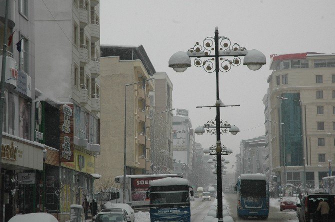 Van’da Kar Hayatı Durma Noktasına Getirdi