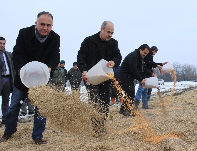 Yaban Hayvanları Kara Rağmen Aç Kalmadı