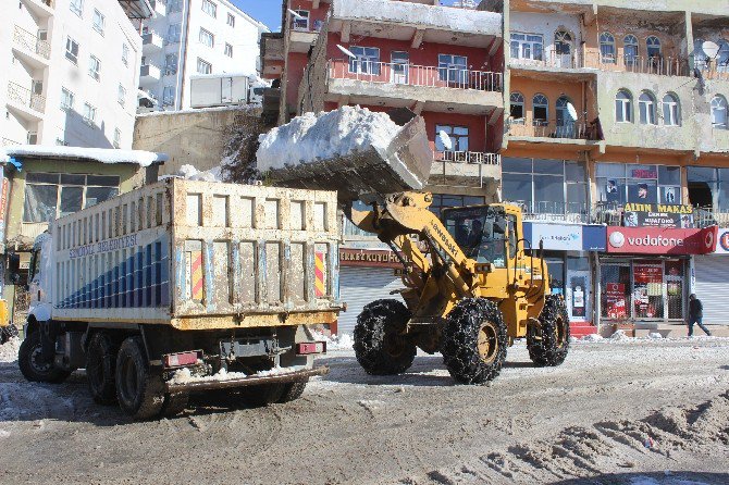 Şemdinli’de Kar Seferberliği