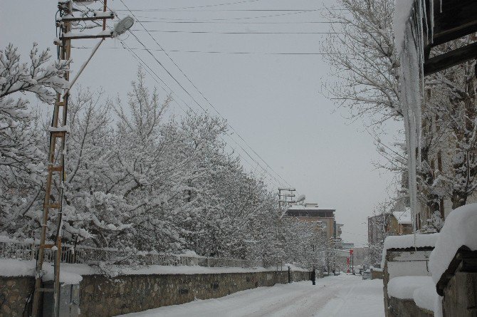 Van’da Dondurucu Soğuklar