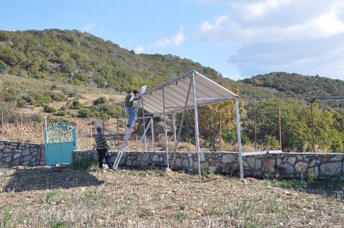 Yüksek Enerji Maliyetlerinden Bunalan Üreticiler, Güneş Enerjisiyle Seralarını Sulamaya Başladı