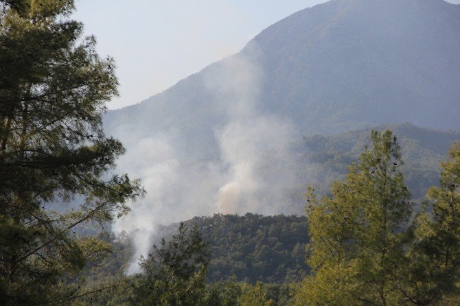 Kemer’de Orman Yangını