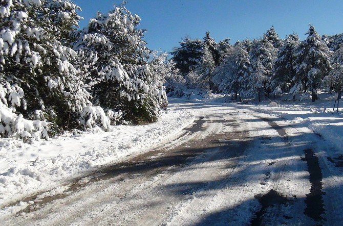 Kapanan Yayla Yolları Açıldı