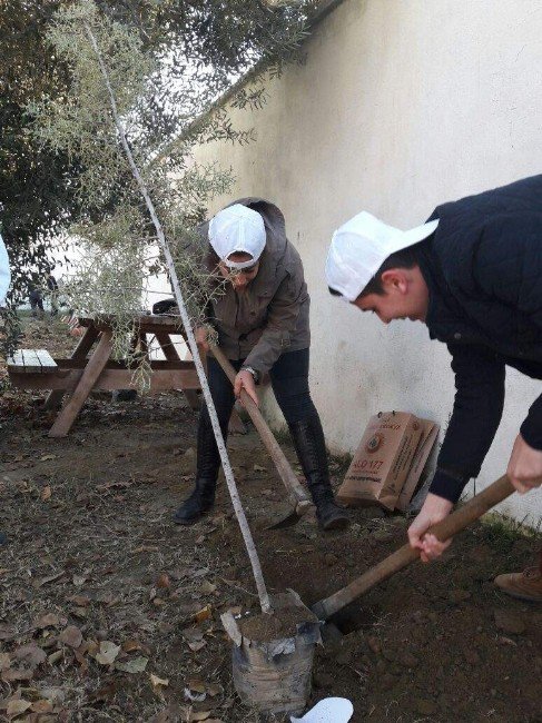 Özel Kavaklı Anadolu Lisesi’nden Şehitlerin Anısına 100 Fidan