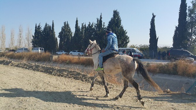 Söke’de Geleneksel Rahvan At Yarışları Yapıldı