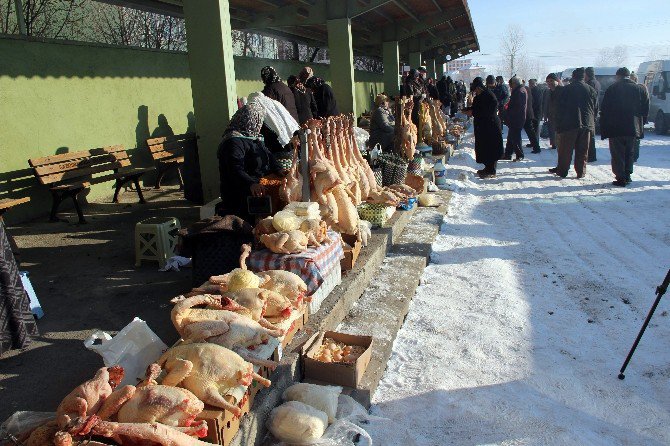 Eflani Hindileri Görücüye Çıktı