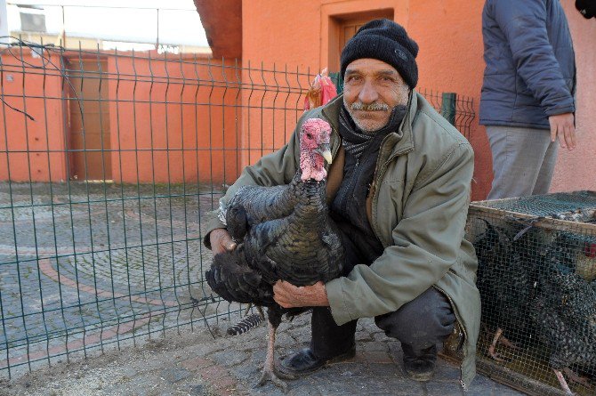 Hindi Fiyatları El Yakıyor