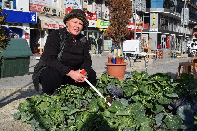 Caddede Organik Tarım