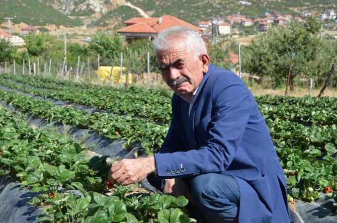 İşsizliği Sıfırladı Kahvehaneler Kapandı