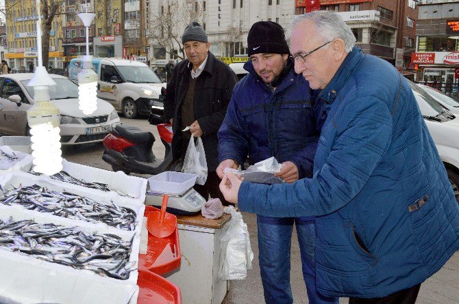 Kastamonu’da Yakalanan 500 Ton Hamsi, Fiyatları Düşürdü