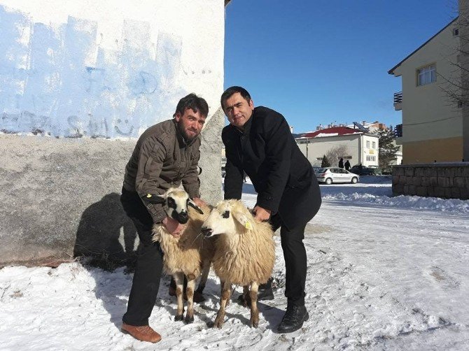 Genç Çiftçilere Küçükbaş Hayvanları Teslim Edildi