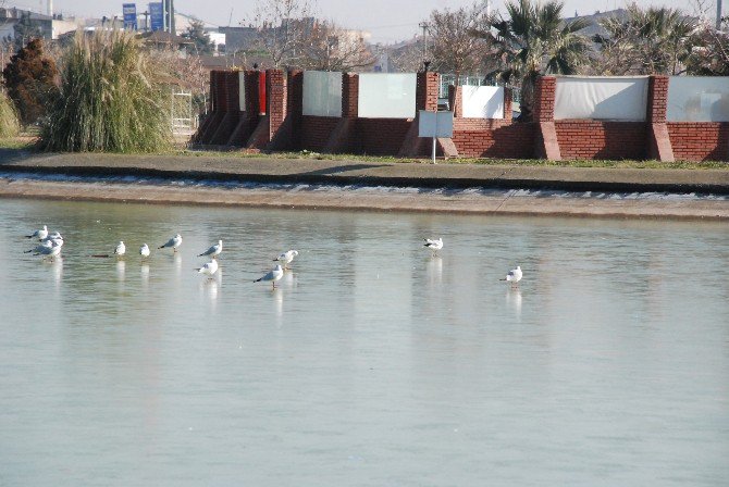 Karacabey’de Göl Dondu