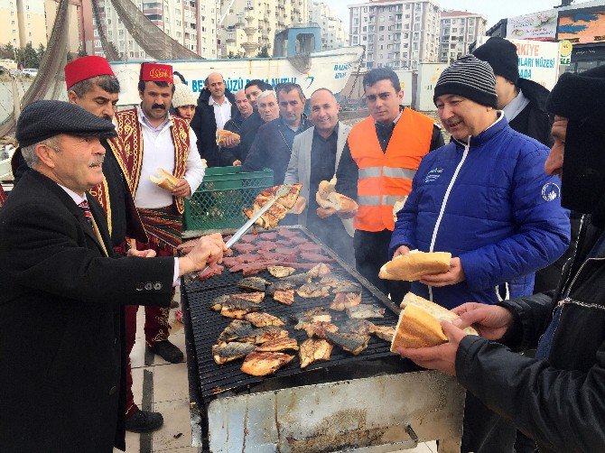 Ekmek Arası Köpekbalığı