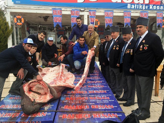 Ekmek Arası Köpekbalığı