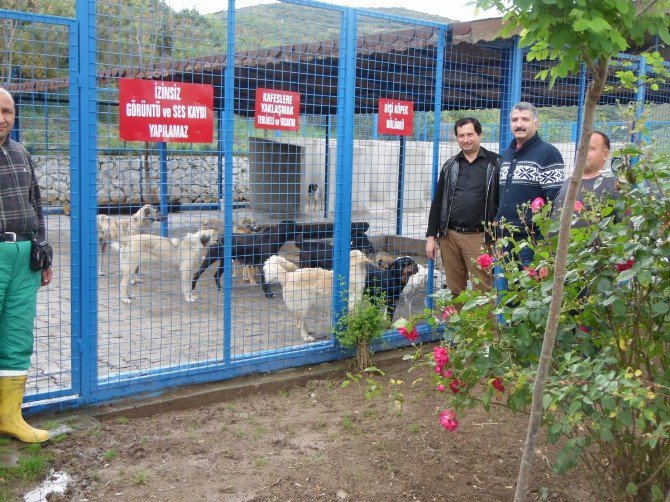 Milas’ta Belediyeden Sağlık Alanda Önemli Hizmet