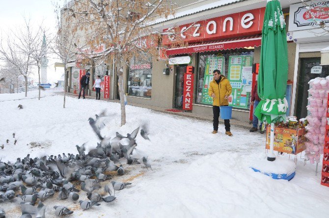 Bozüyük’te Kuşlar İçin Yem Bırakıldı