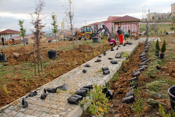 Sakarya Ve Kocaeli’ne 8 Bin 253 Adet Fidan Dikildi