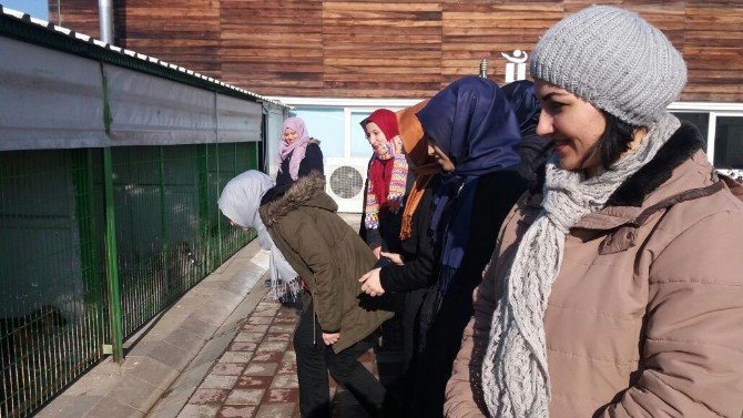 Hayvan Dostu Lise Öğrencileri Doğal Yaşam Merkezi’nde