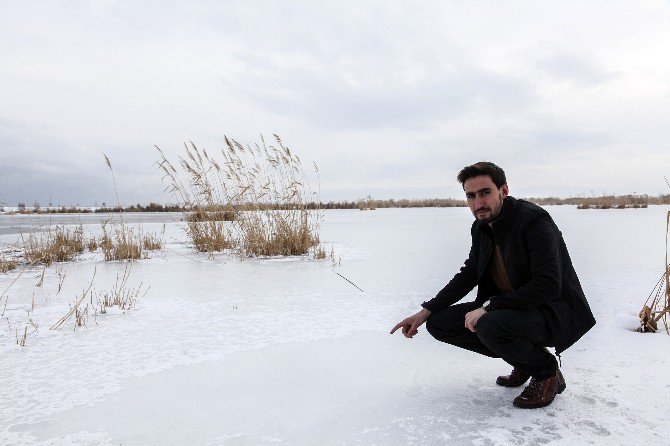 Ahlat’taki ‘Kuş Cenneti’ Dondu