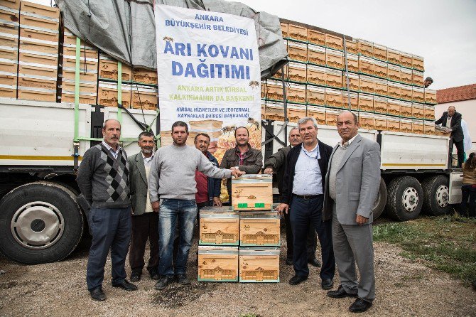 Ankara Büyükşehir Belediyesi 2017’de Üreticilere 4 Bin Arı Kovanı Dağıtacak