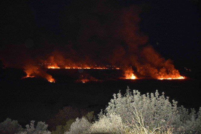 Kuş Cenneti Alevlere Teslim