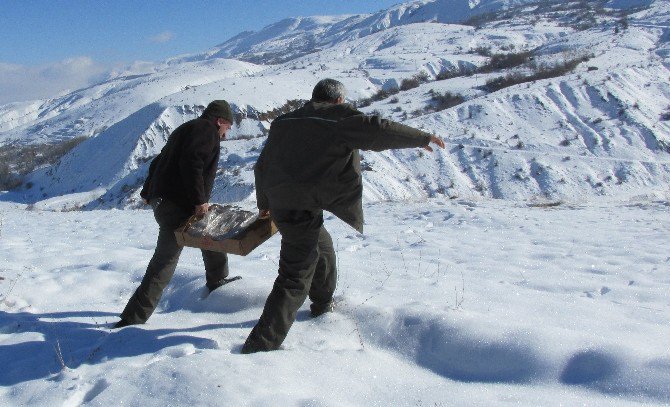 Elazığ’da Yaban Hayvanları İçin Doğaya Yem Bırakıldı