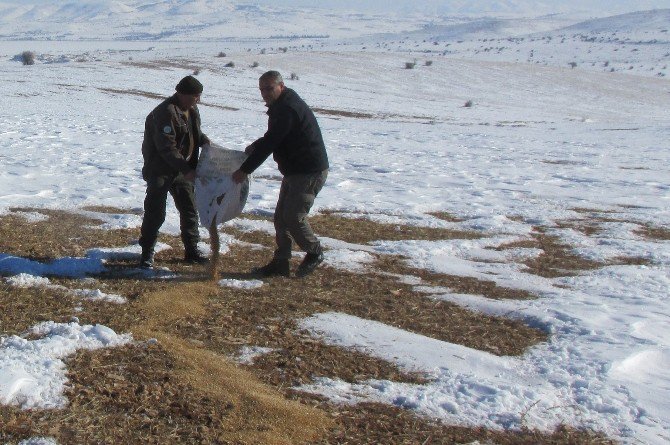 Elazığ’da Yaban Hayvanları İçin Doğaya Yem Bırakıldı