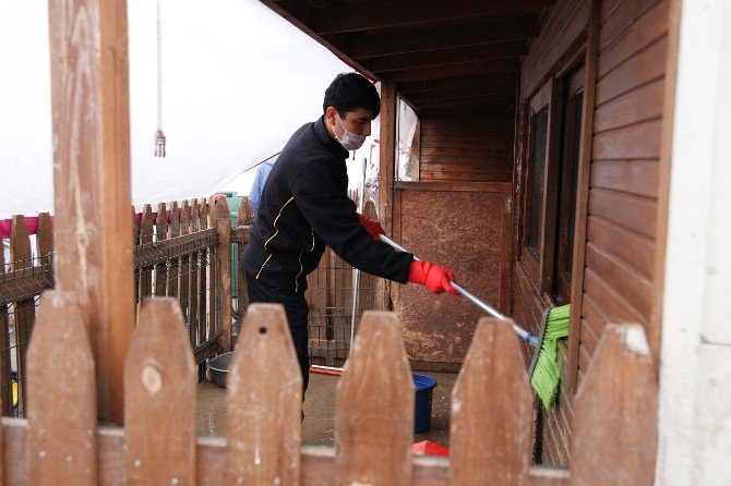 Fatih Belediyesi Yedikule Hayvan Barınağı Temizlik Seferberliği