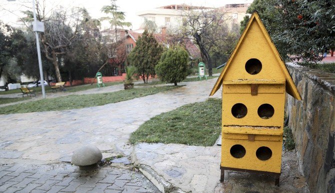 Sokak Hayvanlarına Rengarenk Yuvalar