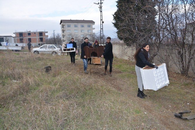 Süleymanpaşa Kent Konseyi Ve Nkü Öğrencilerinden Sokak Kedilerine ‘Ev’