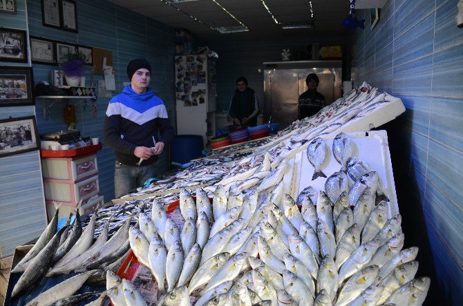 Karın Yağmasıyla Bilecik’te Balık Fiyatları Düştü