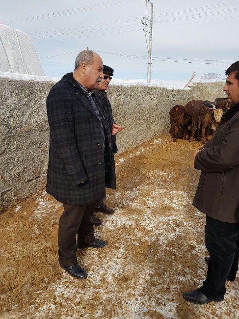 Başkan Özgökçe’den Üreticilere Ziyaret