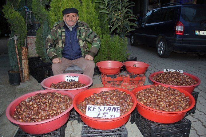 Kestane ’İn’, Fındık ’Out’