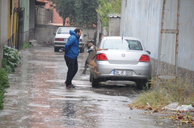 Adana’da ’İkiz Plaka’ Alarmı