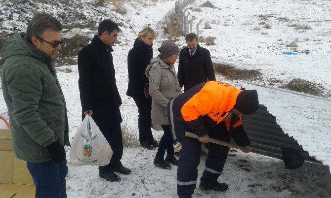 Büyükşehirden Sokak Hayvanları İçin Barınak