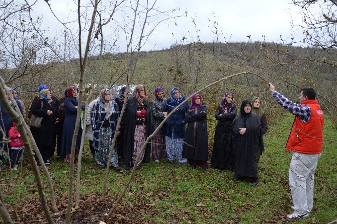 Tarımda Kasım Ayı Dolu Dolu Geçti