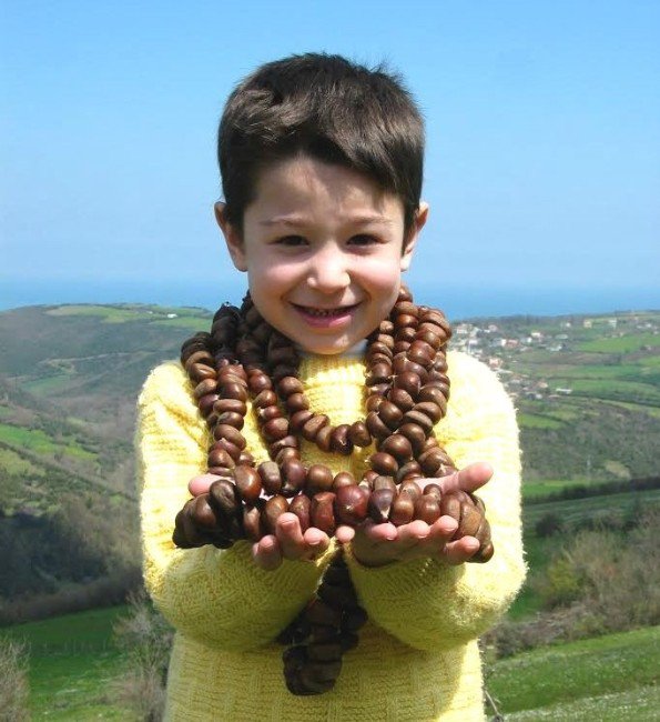 Türkiye Kestane Üretiminde Avrupa Birincisi