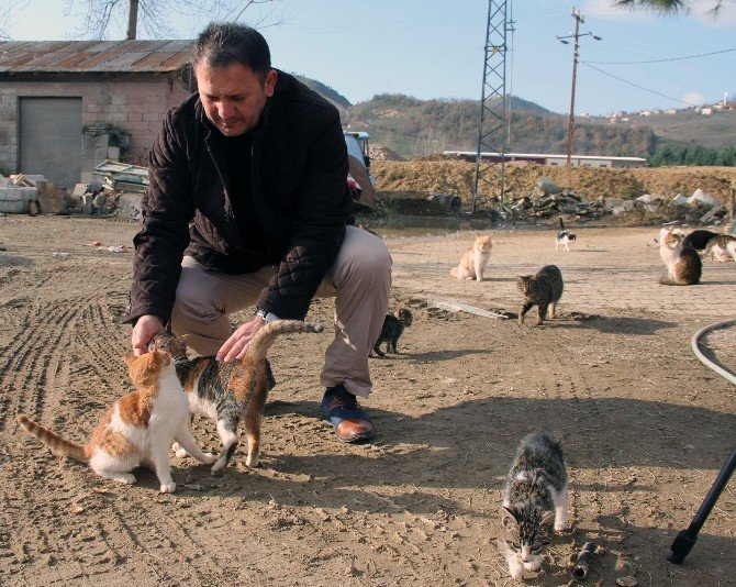 "Burası Hayvan Barınağı Değil Sevgi Yuvası"